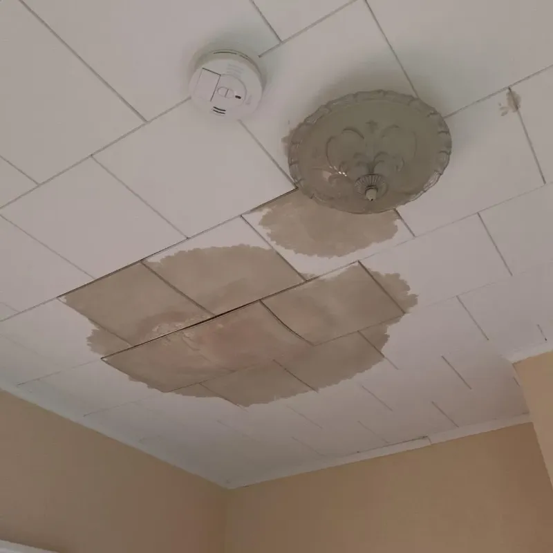 Ceiling Water Damage Repair in Hillsboro, KS