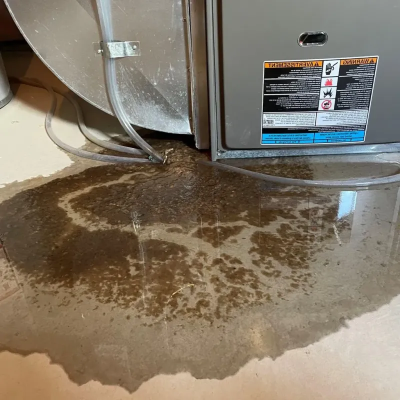 Pipe Burst and Leak Restoration in Hillsboro, KS