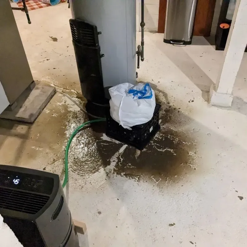 Sewage Backup Cleanup Service in Hillsboro, KS